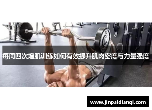 每周四次增肌训练如何有效提升肌肉密度与力量强度