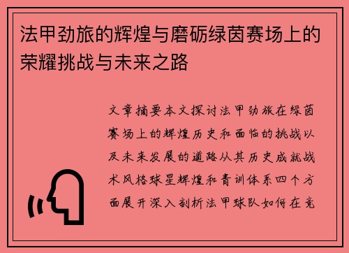 法甲劲旅的辉煌与磨砺绿茵赛场上的荣耀挑战与未来之路