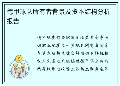 德甲球队所有者背景及资本结构分析报告