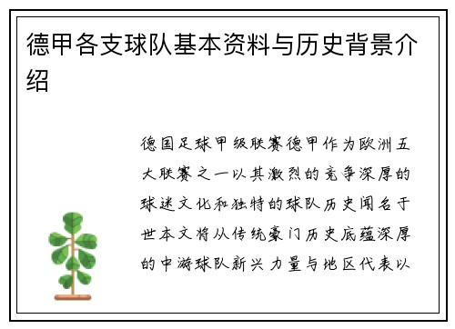 德甲各支球队基本资料与历史背景介绍