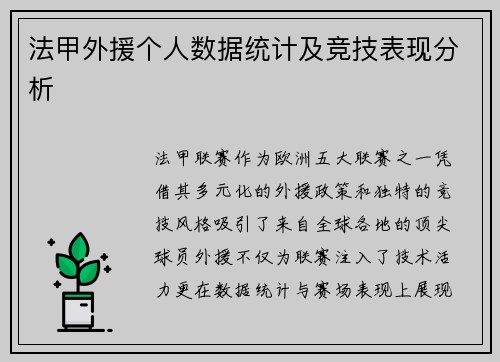 法甲外援个人数据统计及竞技表现分析
